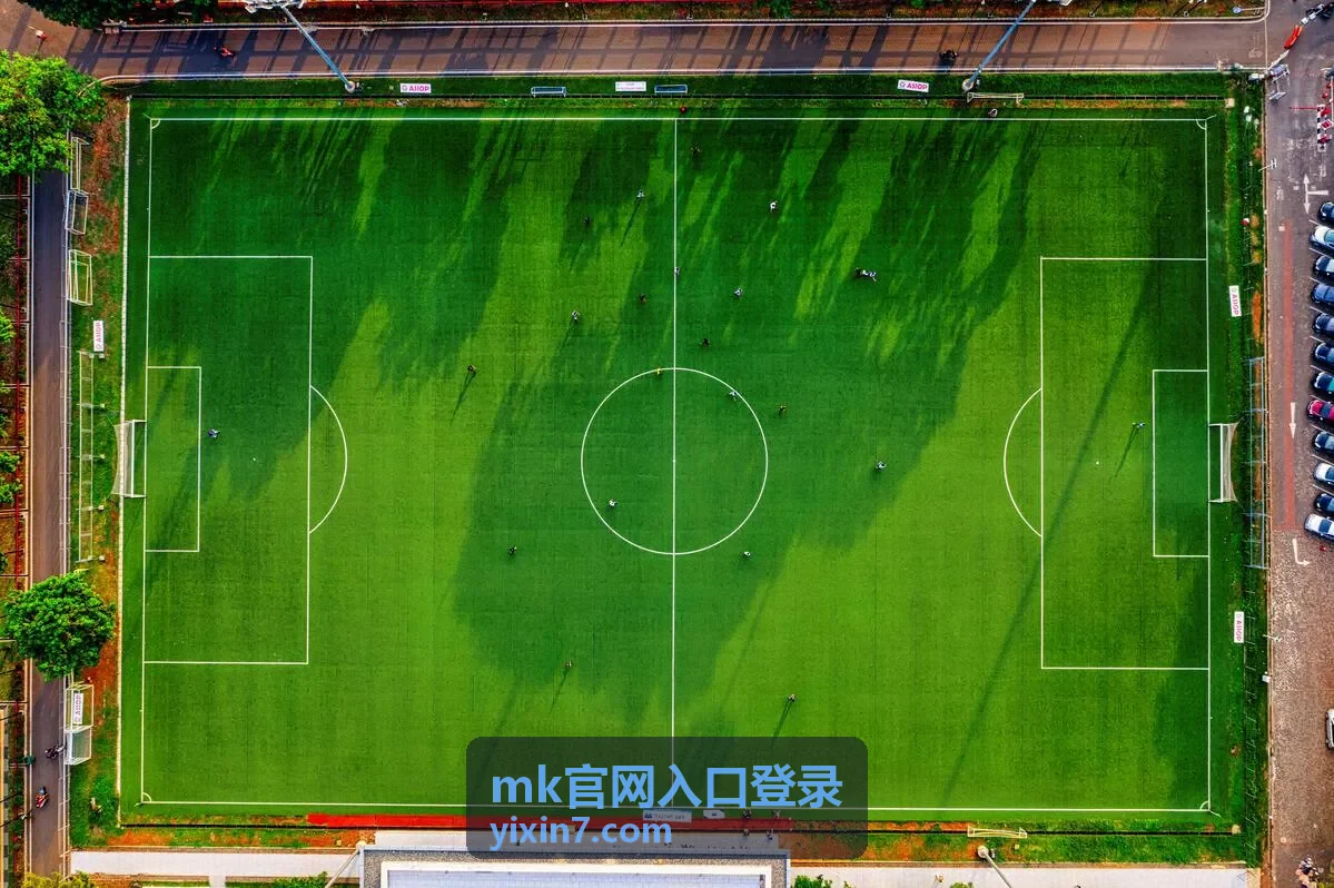 mk官网入口登录账号安全与常见问题排查示意