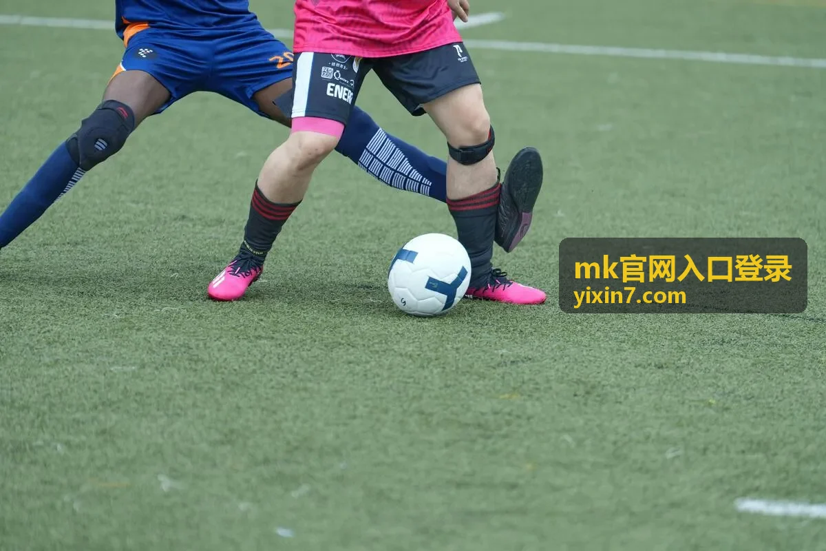 mk官网入口登录资讯内容封面