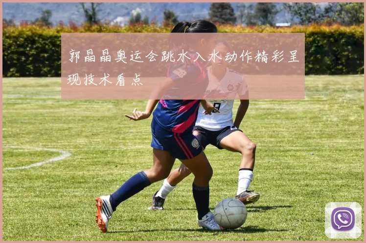 郭晶晶奥运会跳水入水动作精彩呈现技术看点