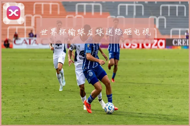世界杯输球后球迷怒砸电视