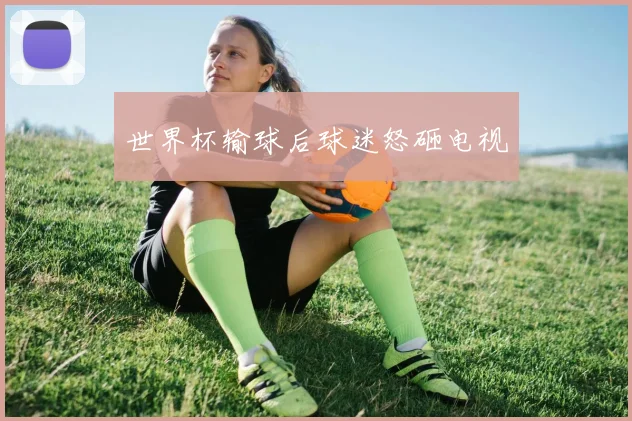 世界杯输球后球迷怒砸电视