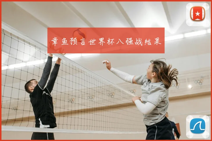 章鱼预言世界杯八强战结果