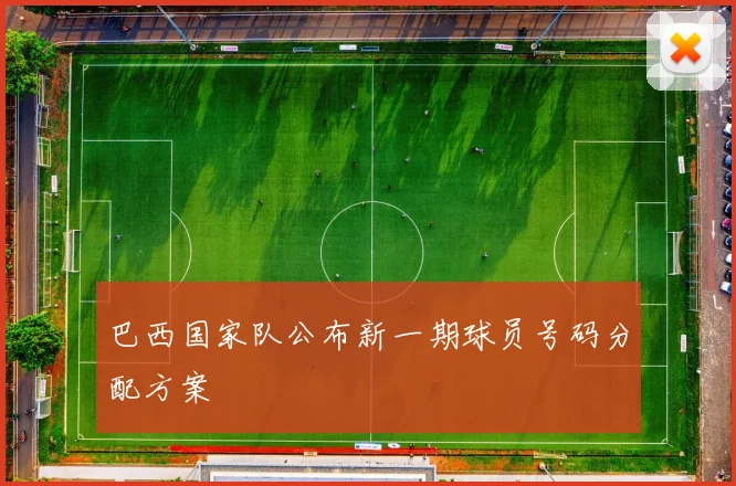 巴西国家队公布新一期球员号码分配方案