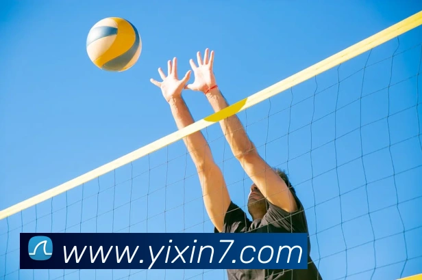 6686在线登录官网品牌故事