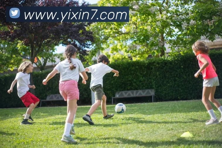 6686在线登录官网服务体系